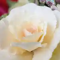 阿邪訶根神社のその他建物