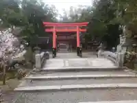 兵主大社の鳥居