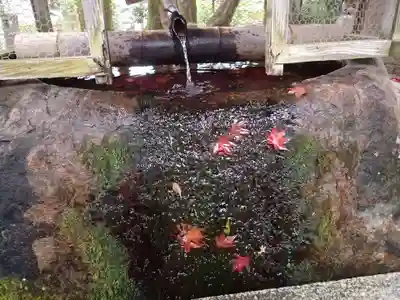 三宅八幡宮の手水舎