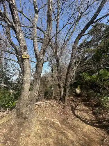 航空神社(神奈川県)