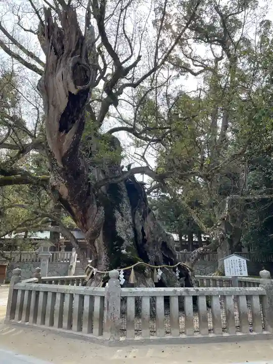 大山祇神社(愛媛県)