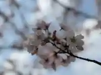 西方山極楽寺(岐阜県)