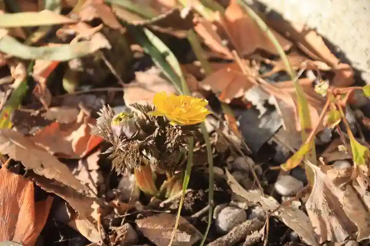阿邪訶根神社の庭園