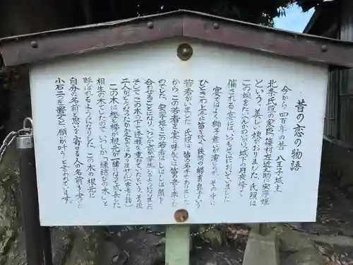 熊野神社(東京都)