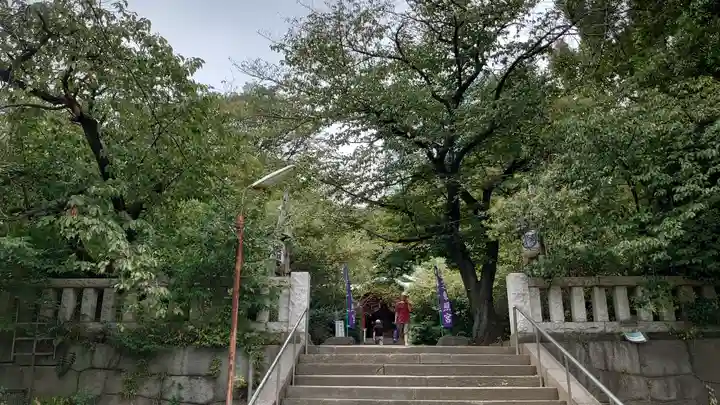 芝東照宮の自然