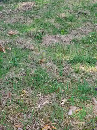 宮内助神社(長野県)
