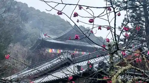 長谷寺(奈良県)