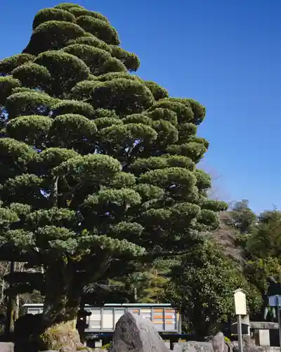 石川護國神社(石川県)