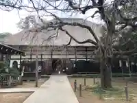 茂林寺の本殿・本堂