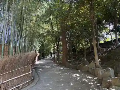 城南宮(京都府)