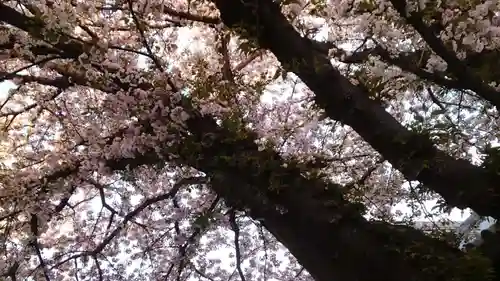 感通寺(東京都)