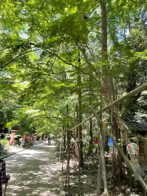目の霊山 油山寺のその他建物