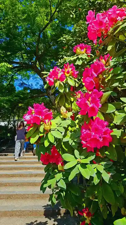 岡寺(龍蓋寺)(奈良県)