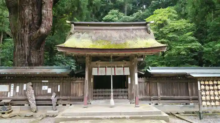 若狭姫神社(若狭彦神社下社)の本殿・本堂