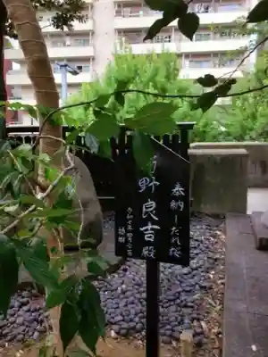 熊野神社(東京都)