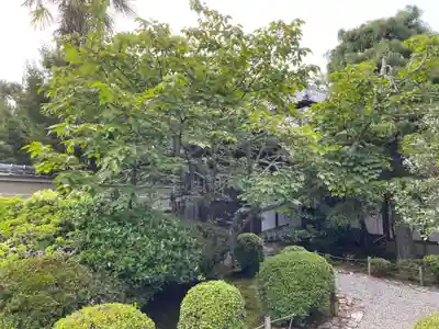 霊源寺(京都府)
