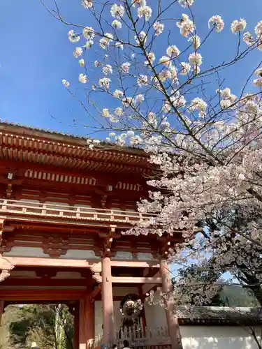 醍醐寺(京都府)