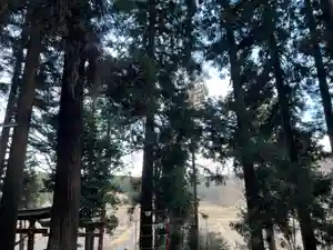 大宮温泉神社(栃木県)(2022年12月25日(日) 08時12分10秒投稿)