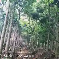 伊勢原 法泉寺の自然