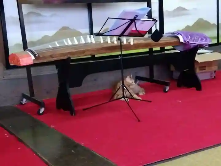 天王山 安楽寺(福井県)