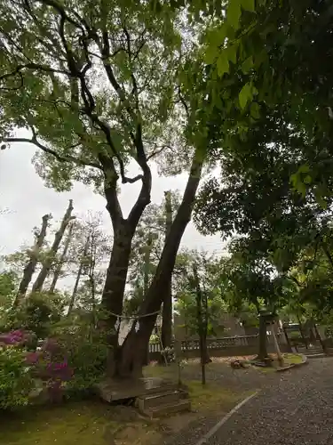 武蔵一宮氷川神社(埼玉県)