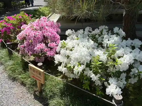 城南宮(京都府)