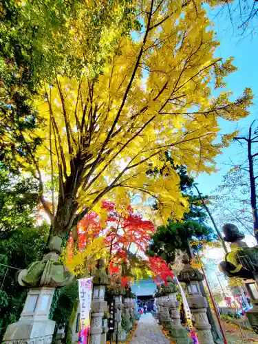 神炊館神社 ⁂奥州須賀川総鎮守⁂(福島県)