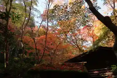 祇王寺(京都府)