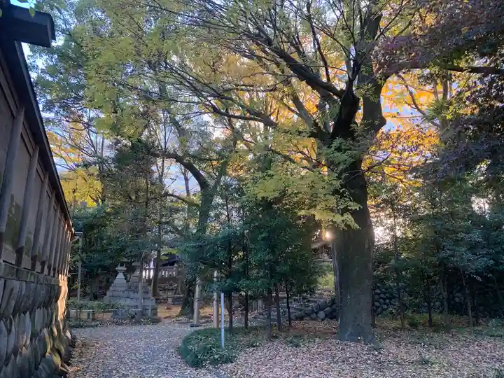 若宮神明社(愛知県)
