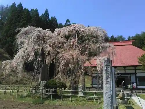 永泉寺の建物その他