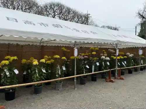 高麗神社(埼玉県)