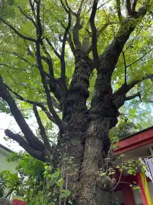 笠䅣稲荷神社(神奈川県)