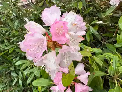 宝珠寺(山形県)