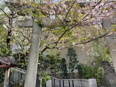 雉子神社の鳥居