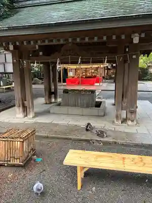 平塚八幡宮の手水舎