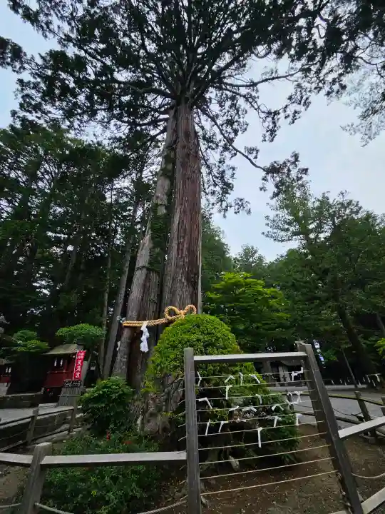北口本宮冨士浅間神社(山梨県)