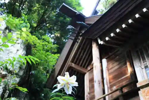 鹿島大神宮の本殿