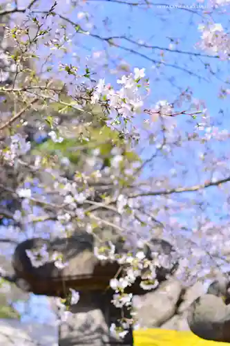 上野東照宮(東京都)