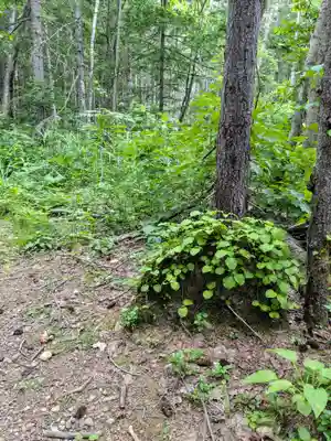 白金滝不動尊(北海道)