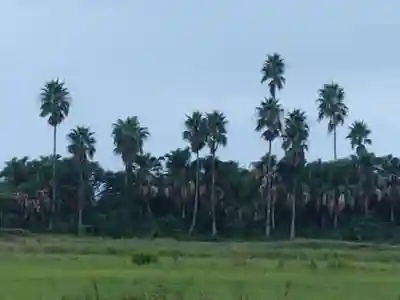 六所神社(千葉県)
