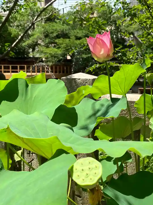 生田神社(兵庫県)