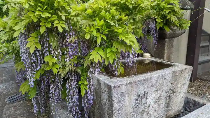 善行院の手水舎