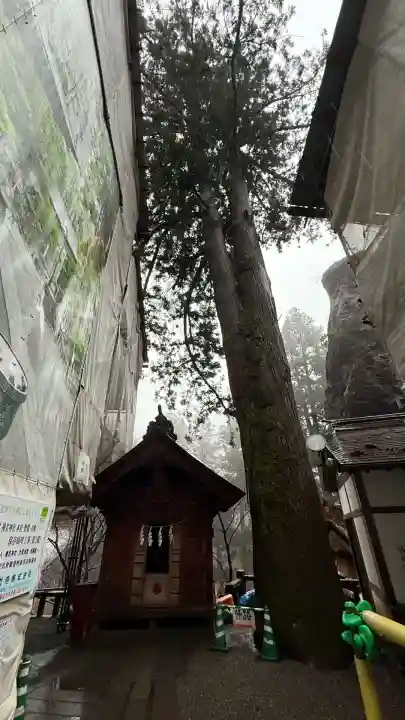 榛名神社(群馬県)