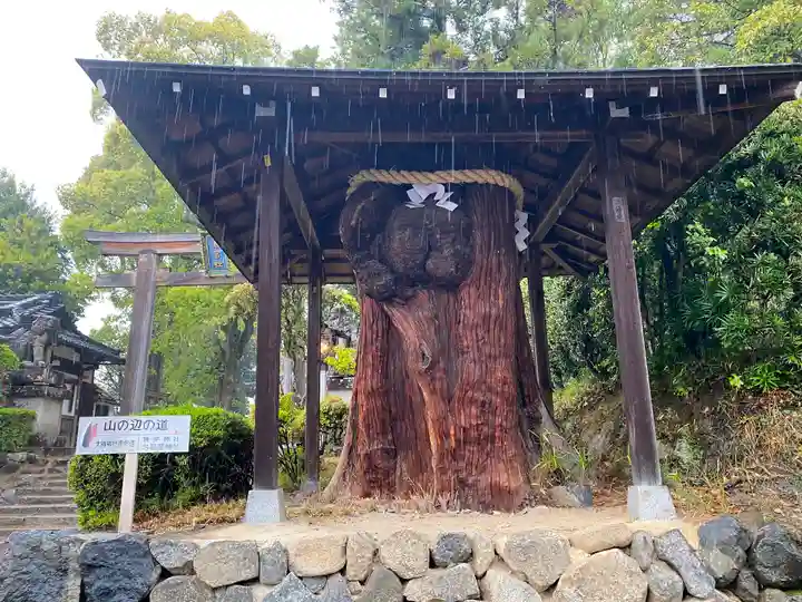 大直禰子神社の自然