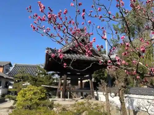 誓昌院の{uncategorized: "未分類", other: "その他", undefined: "問題あり", building: "その他建物", grave: "お墓", sacred_gate: "鳥居", guardian: "狛犬", statue: "像", buddha: "仏像", history: "歴史", nature: "自然", garden: "庭園", animal: "動物", pagoda: "塔", temizu: "手水舎", mountain_gate: "山門・神門", sanctuary: "本殿・本堂", subordinate: "末社・摂社", art: "芸術", scenery: "景色", jizo: "地蔵", ema: "絵馬", goshuin: "御朱印", omikuji: "おみくじ", items: "授与品その他", amulet: "お守り", goshuincho: "御朱印帳", eats: "食事", festival: "お祭り", votive_dance: "神楽", shichigosan: "七五三参", wedding: "結婚式", experience: "体験その他", initially: "初詣", around: "周辺", anti_infection: "感染症対策"}