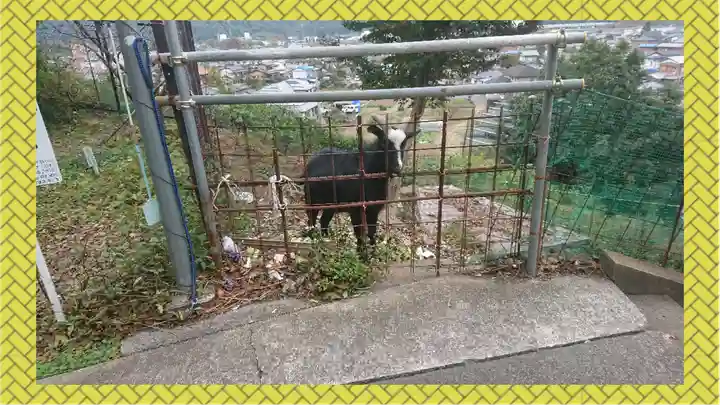 賀茂別雷神社(栃木県)