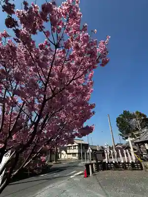 祇園山 徳城寺の{uncategorized: "未分類", other: "その他", undefined: "問題あり", building: "その他建物", grave: "お墓", sacred_gate: "鳥居", guardian: "狛犬", statue: "像", buddha: "仏像", history: "歴史", nature: "自然", garden: "庭園", animal: "動物", pagoda: "塔", temizu: "手水舎", mountain_gate: "山門・神門", sanctuary: "本殿・本堂", subordinate: "末社・摂社", art: "芸術", scenery: "景色", jizo: "地蔵", ema: "絵馬", goshuin: "御朱印", omikuji: "おみくじ", items: "授与品その他", amulet: "お守り", goshuincho: "御朱印帳", eats: "食事", festival: "お祭り", votive_dance: "神楽", shichigosan: "七五三参", wedding: "結婚式", experience: "体験その他", initially: "初詣", around: "周辺", anti_infection: "感染症対策"}