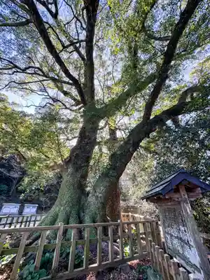 高良大社(福岡県)
