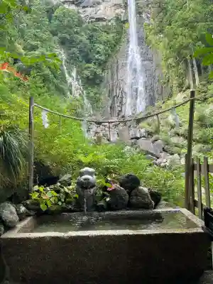 飛瀧神社（熊野那智大社別宮）の{uncategorized: "未分類", other: "その他", undefined: "問題あり", building: "その他建物", grave: "お墓", sacred_gate: "鳥居", guardian: "狛犬", statue: "像", buddha: "仏像", history: "歴史", nature: "自然", garden: "庭園", animal: "動物", pagoda: "塔", temizu: "手水舎", mountain_gate: "山門・神門", sanctuary: "本殿・本堂", subordinate: "末社・摂社", art: "芸術", scenery: "景色", jizo: "地蔵", ema: "絵馬", goshuin: "御朱印", omikuji: "おみくじ", items: "授与品その他", amulet: "お守り", goshuincho: "御朱印帳", eats: "食事", festival: "お祭り", votive_dance: "神楽", shichigosan: "七五三参", wedding: "結婚式", experience: "体験その他", initially: "初詣", around: "周辺", anti_infection: "感染症対策"}