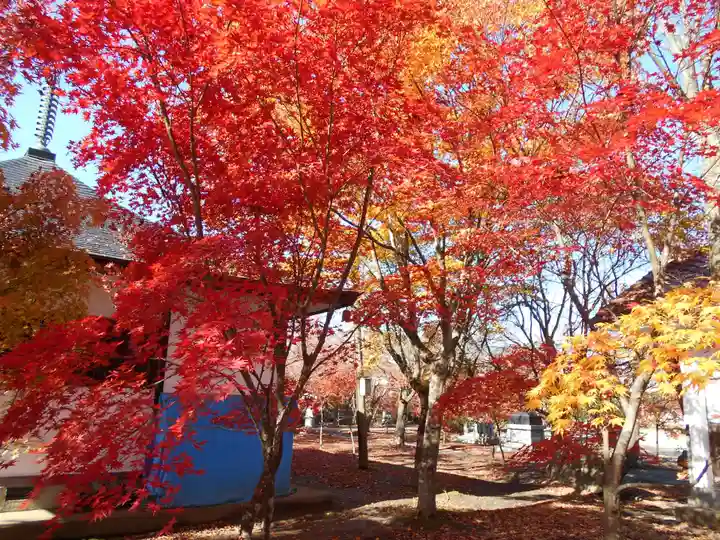 会津薬師寺(福島県)